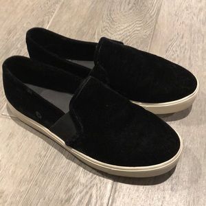 Vince velvet sneakers